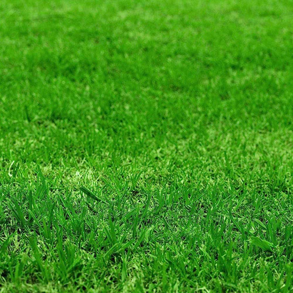 Ultimate Plus XP Grass Greening Superfood Granules 5kg Image 3