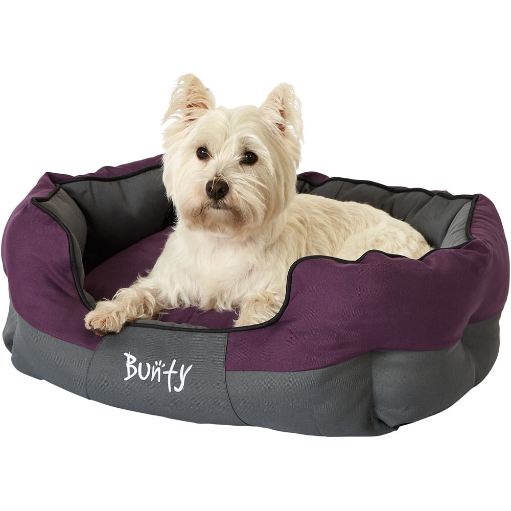 Bunty Anchor Medium Purple Pet Bed Wilko
