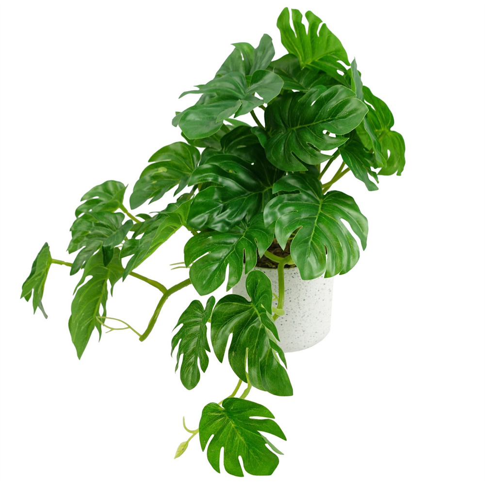 Leaf Green Monstera Potted Artificial Plant 30cm Image 4