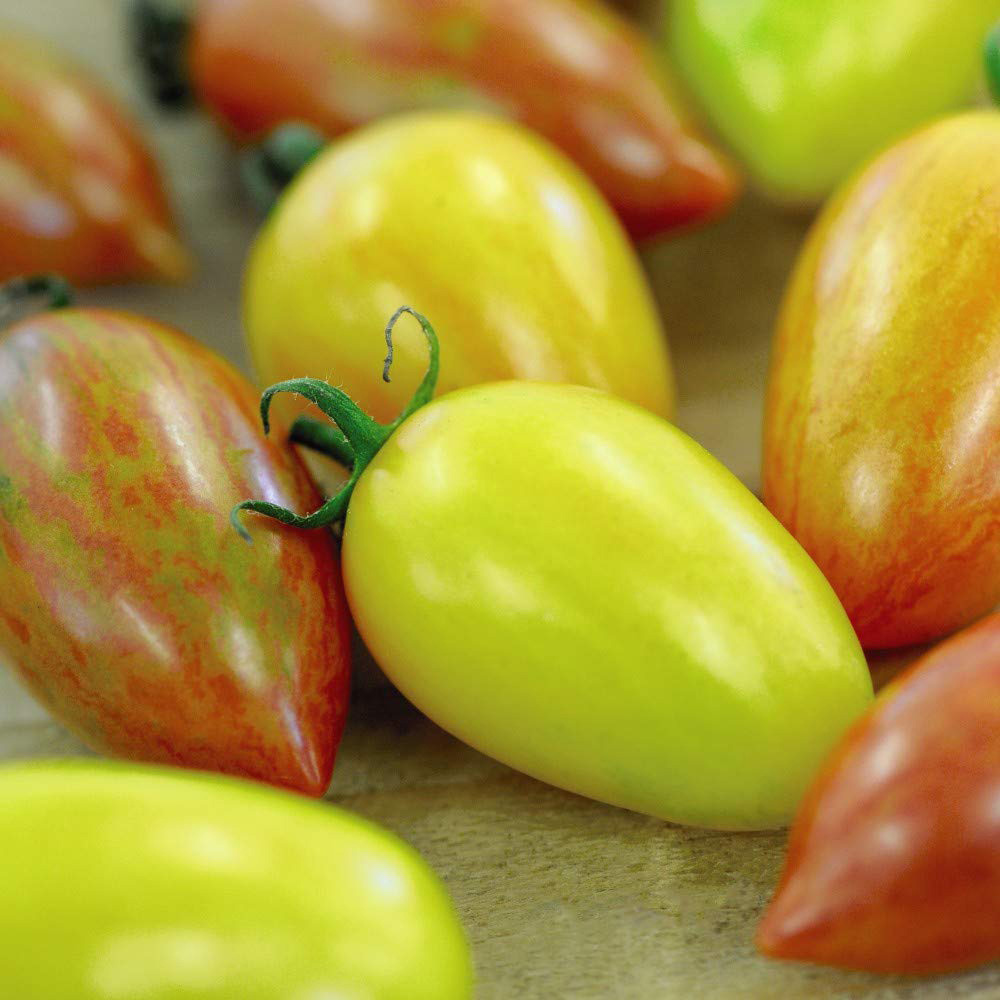 Thompson and Morgan Tomato Artisan Mix Seeds Image