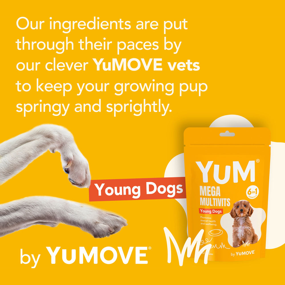 Yum Mega MultiVits 6 in 1 Supplement for Young Dogs 30 Pack Image 6