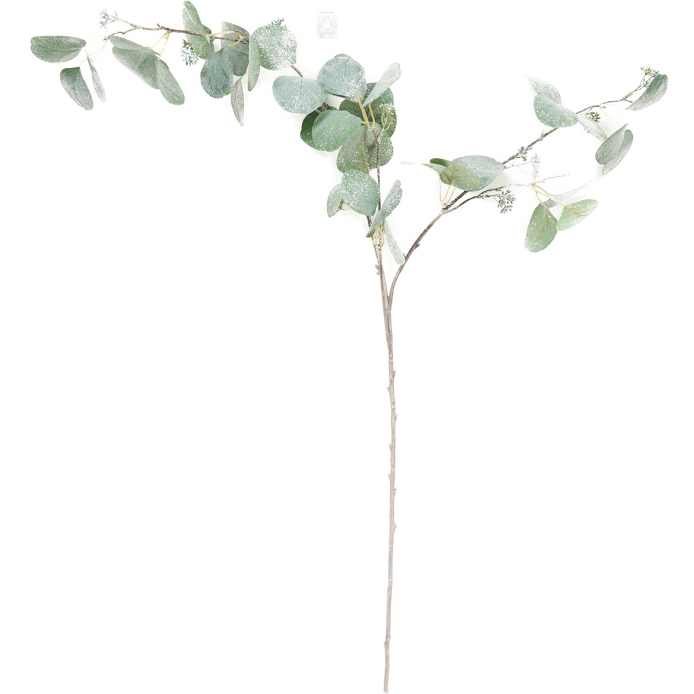 Shimmer Silver Dollar Stem Image 1