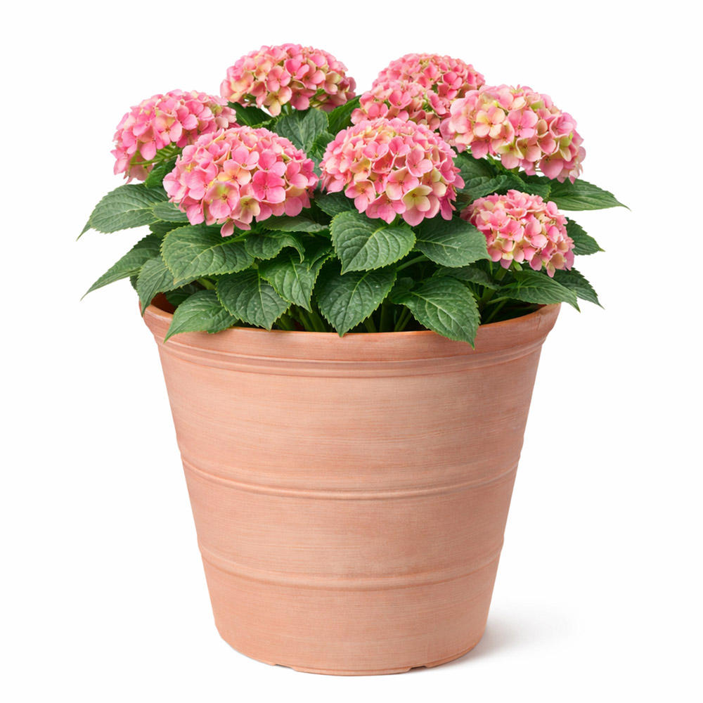 Jack Stonehouse Terracotta Effect Recycled Plastic Planter 47cm Image 3