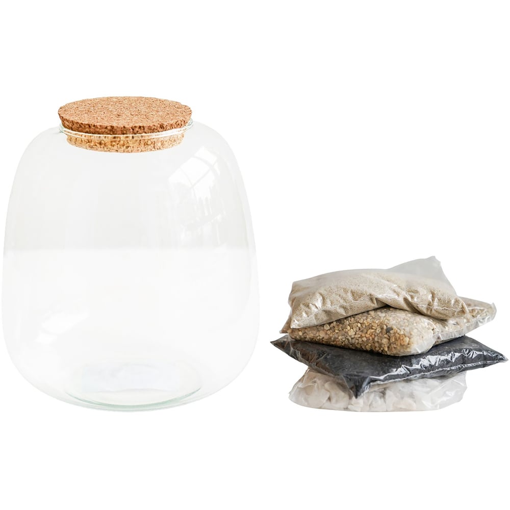 Ivyline Medium Bowl Shape Terrarium DIY Kit 20 x 19cm Image 1