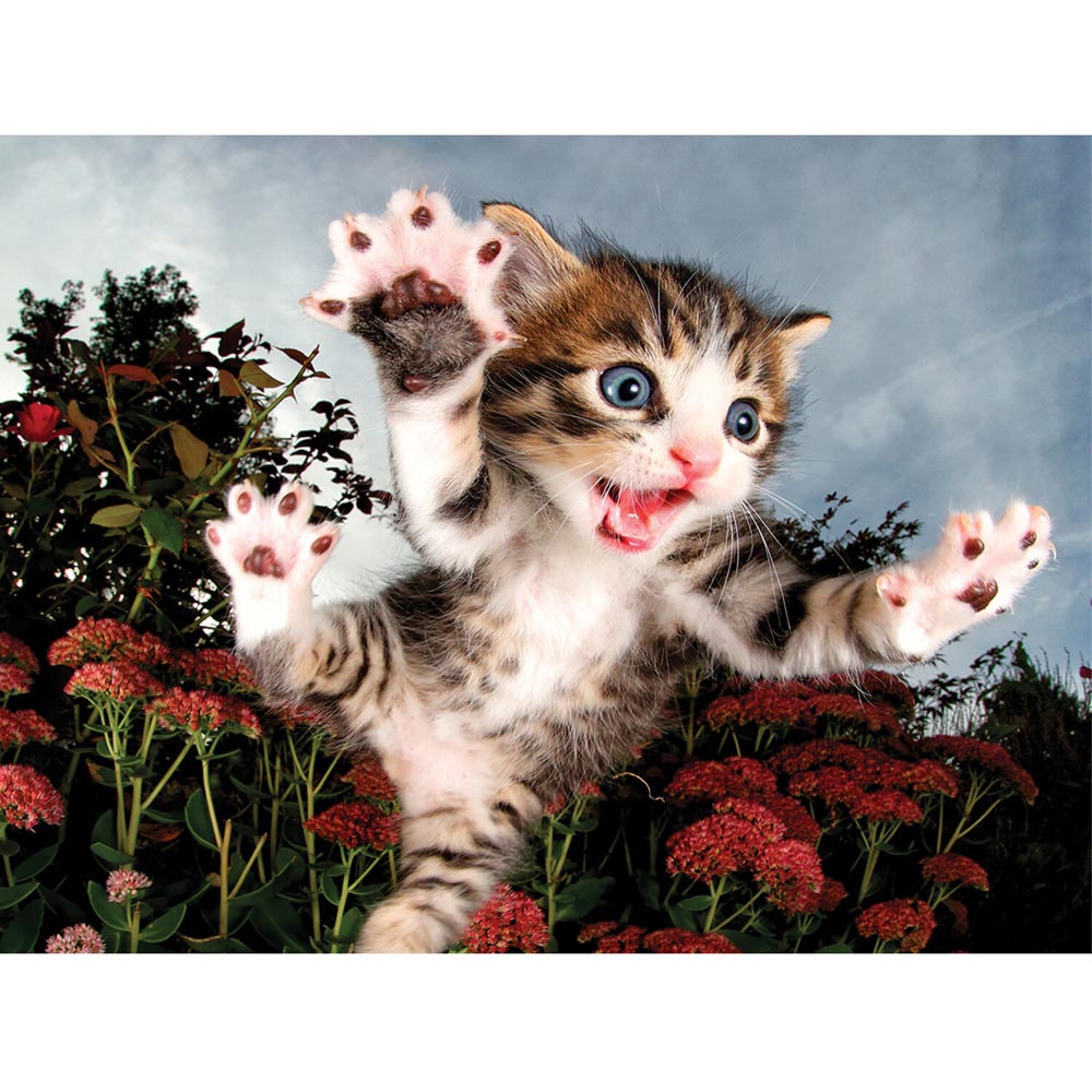 3D Cats Puzzle Image 3