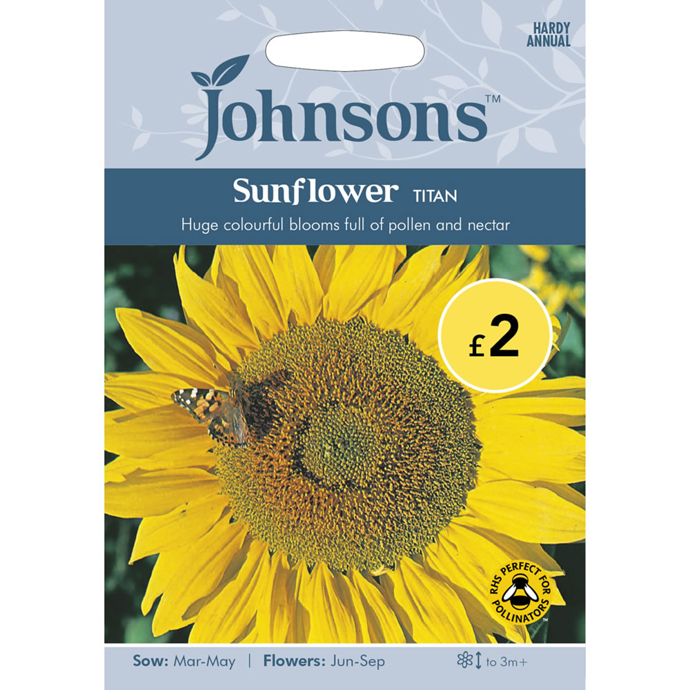 Johnsons Sunflower Titan Seeds Image 2