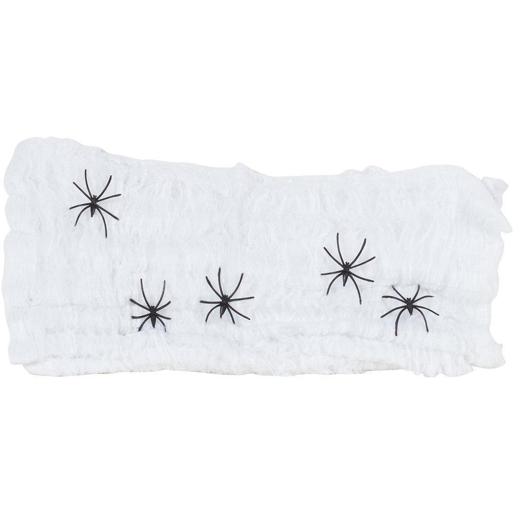 Spider Webbing with Spiders Image 3