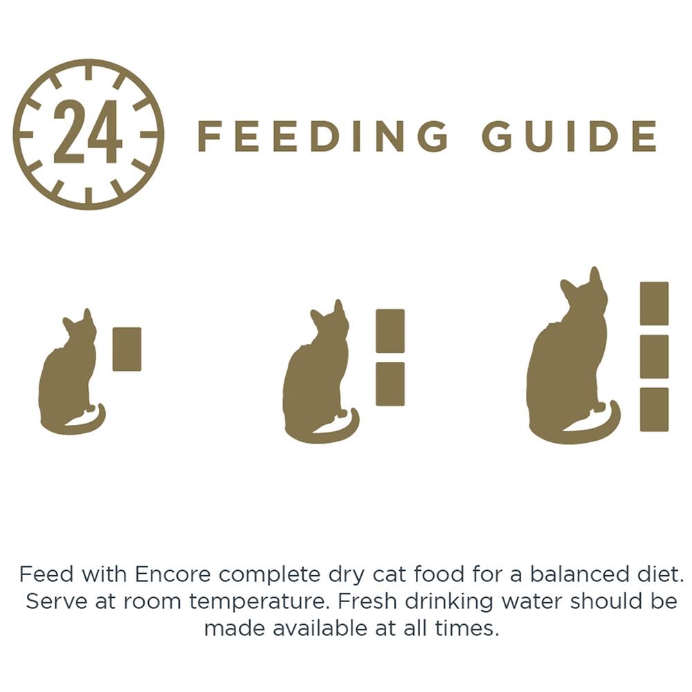 Encore in Broth Tuna Fillet with Whitebait Adult Cat Food 70g Image 4