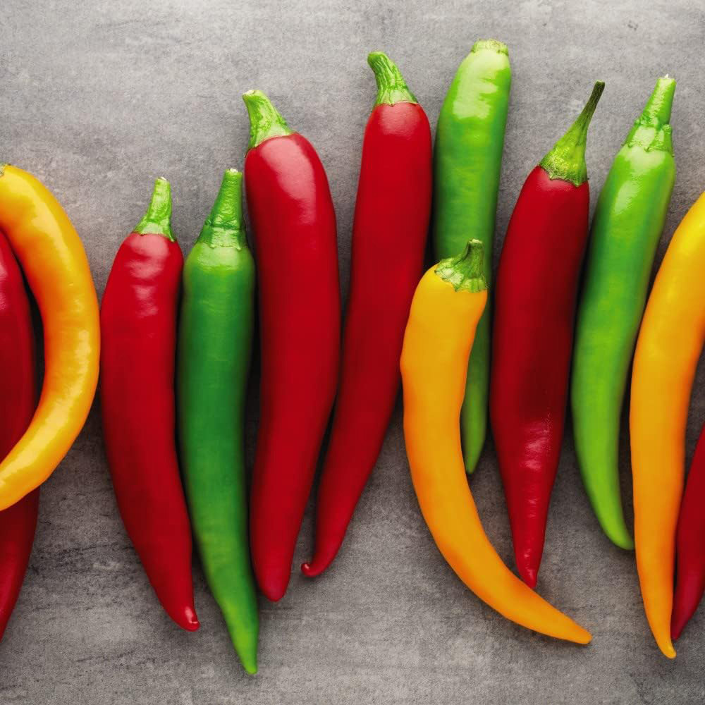 Thompson and Morgan Tabasco Chilli Pepper Plant Pot 9cm Image 2