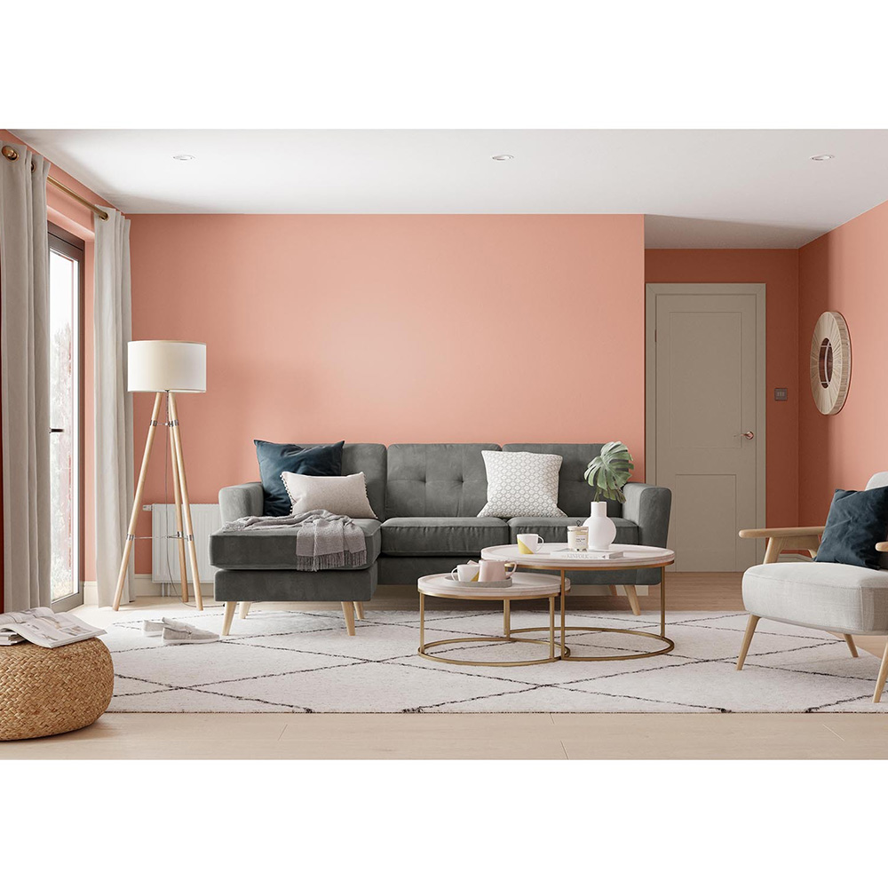 Dulux Walls and Ceilings Copper Blush Silk Emulsion Paint 2.5L Image 4