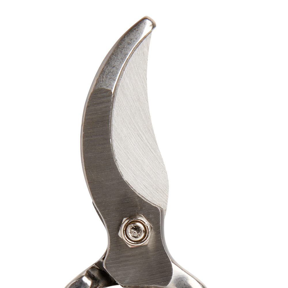 Wilko Traditional Forged Secateurs 21cm Image 2