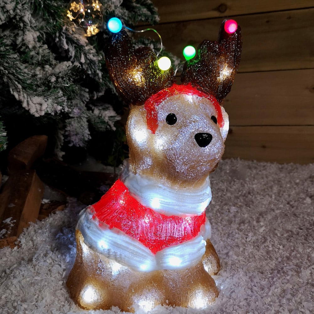 Samuel Alexander Acrylic Dog LED Outdoor Christmas Decoration 33cm Image 1