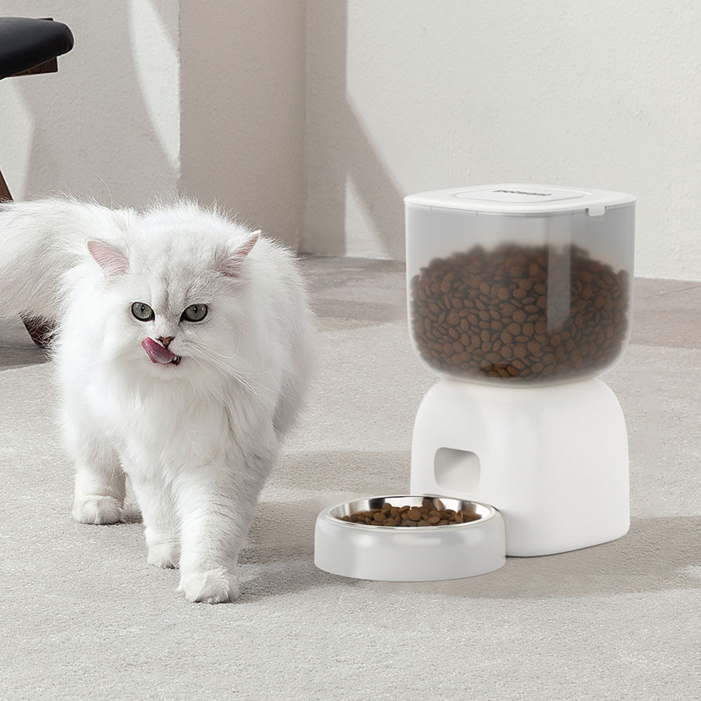noerden Pet Plate Automatic Wi-Fi Pet Feeder Image 2
