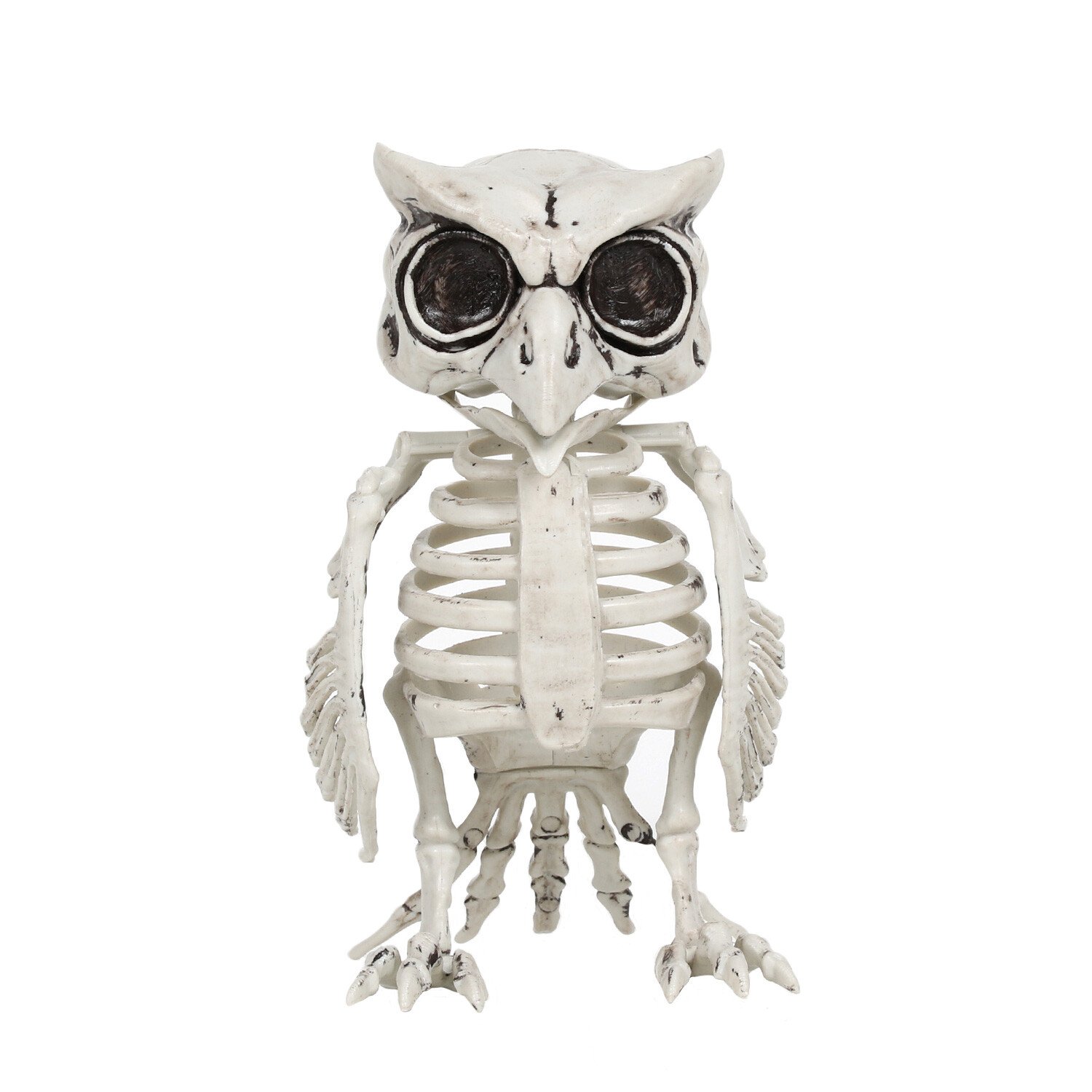 Skeleton Owl - White Image