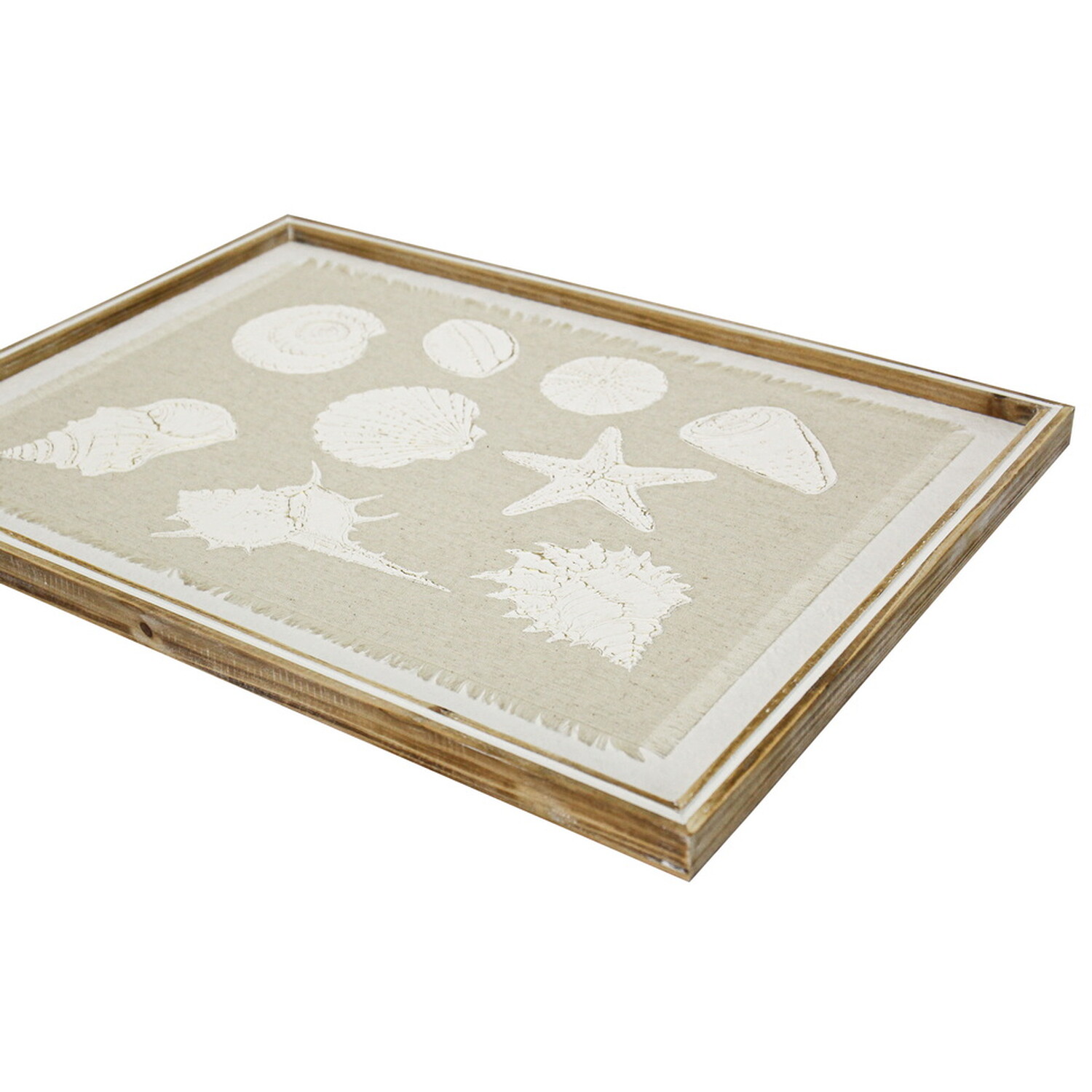 Embossed Seashell Framed Wall Art Image 7