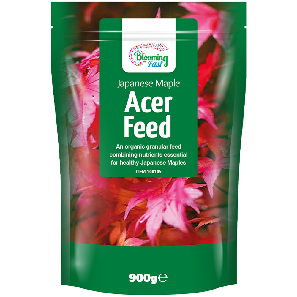 Blooming Fast Japanese Maple Acer Feed 900g Image 1