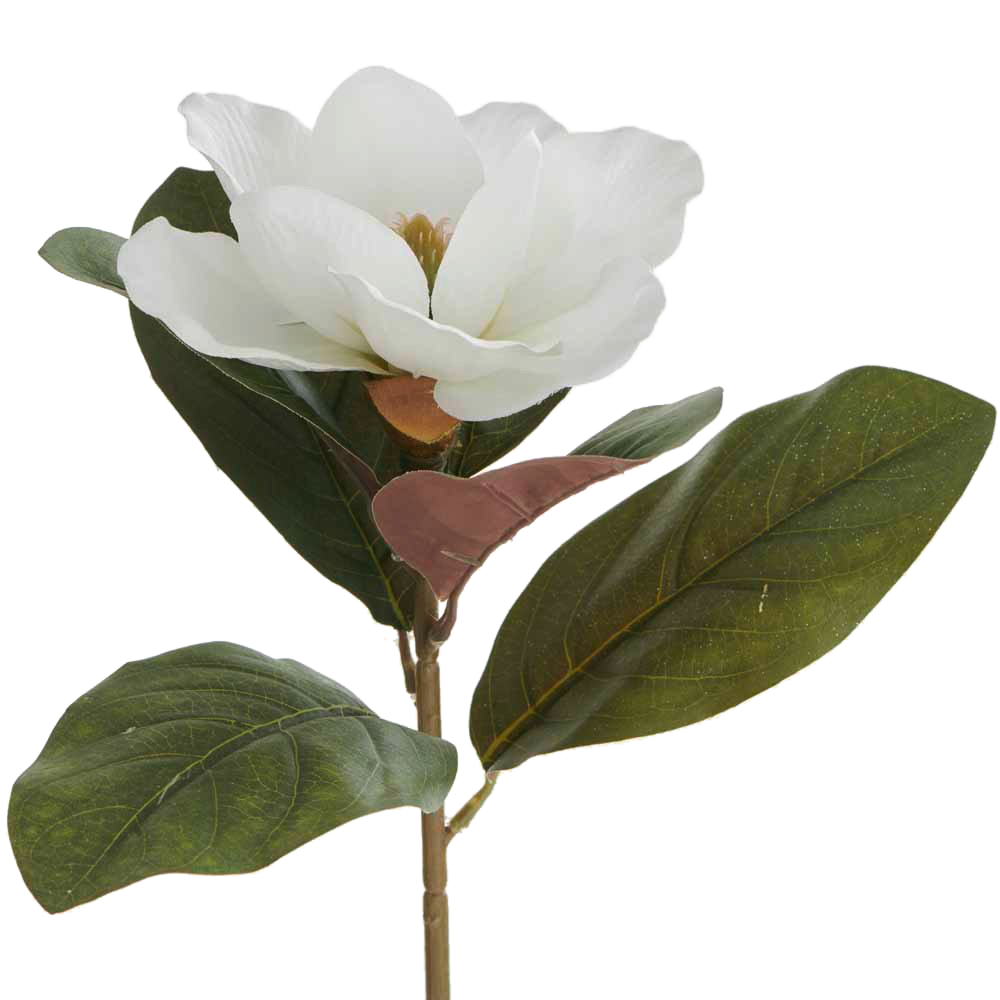 Wilko Magnolia White Single Stem Image 2