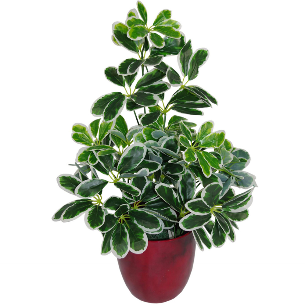 Leaf Arboricola Umbrella Artificial Tree Black Pot 1.8ft Image 2