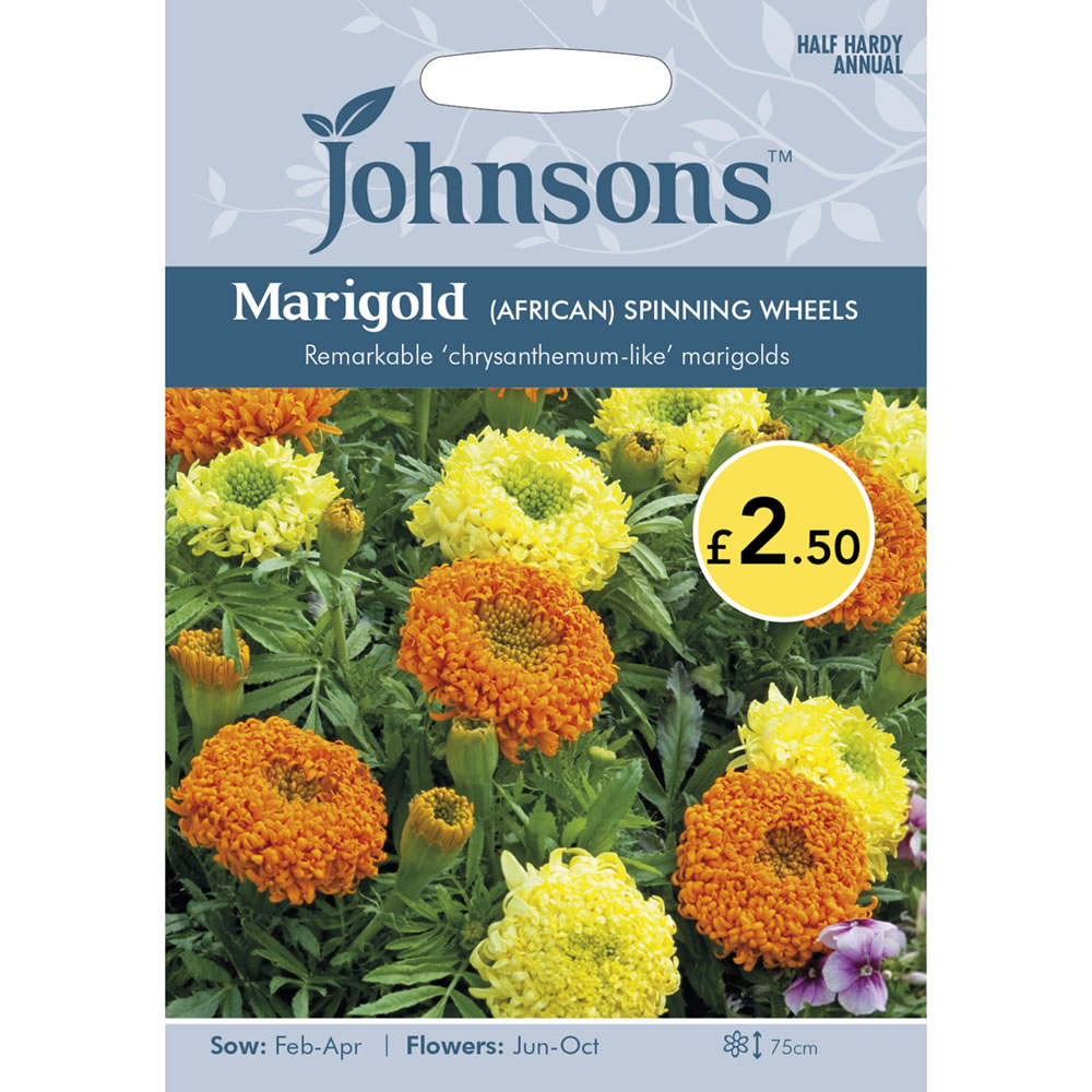 Johnsons Seeds Marigold African Spinning Wheels Image 2