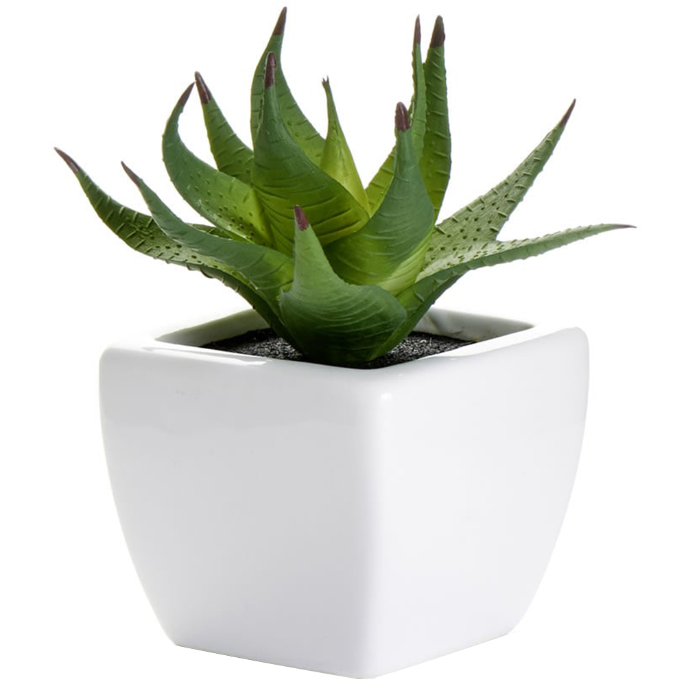 Wilko Artificial Succulent Plant in Ceramic Pot Image 2