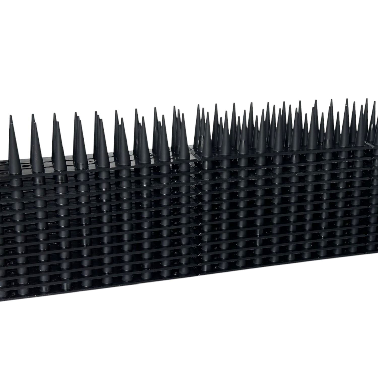 Plastic Bird Spikes Image 4
