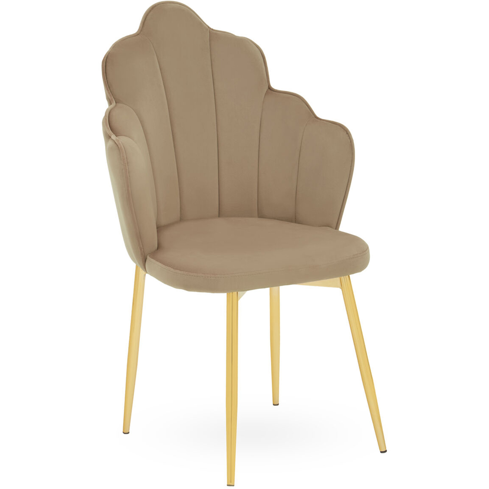 Premier Housewares Tian Mink Velvet Chair Image 2