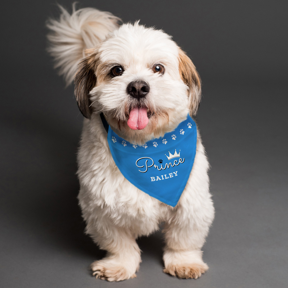 Personalised Memento Prince Dog Bandana Image 3