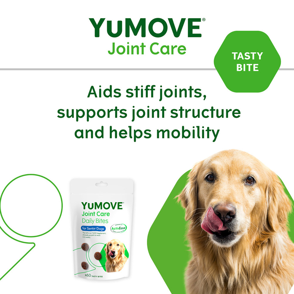 YuMOVE Joint Daily Bite Senior Dogs 60 pack Image 3