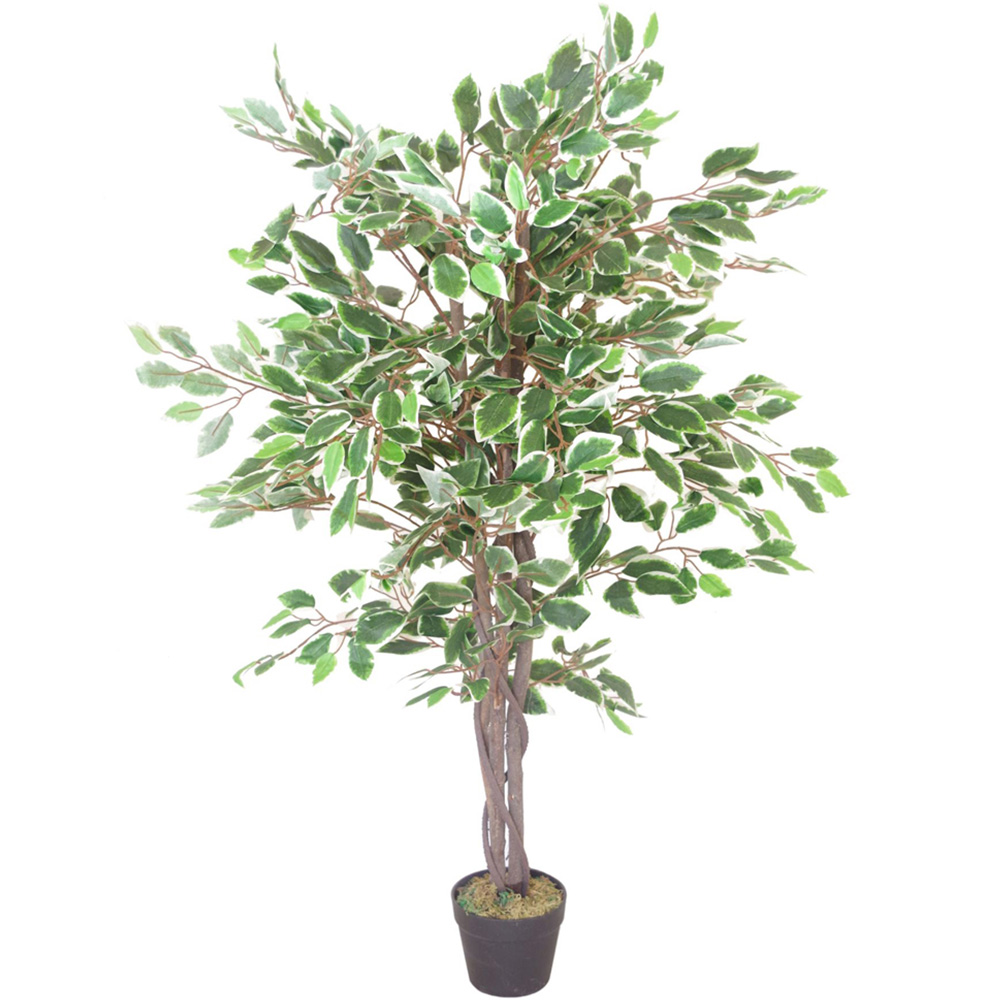 Botanik White Edge Twist Ficus Artificial Tree in Pot 4ft Image 1