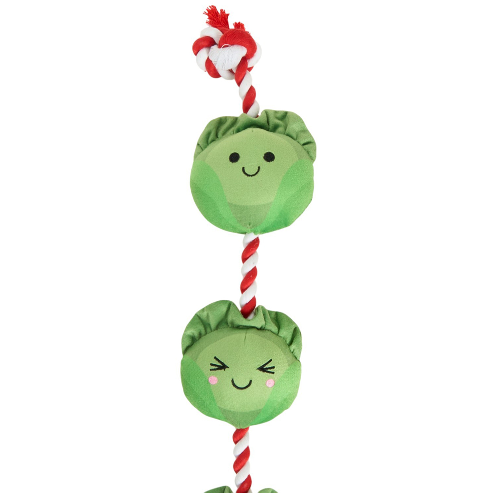 Sprouts Rope Dog Toy Image 3