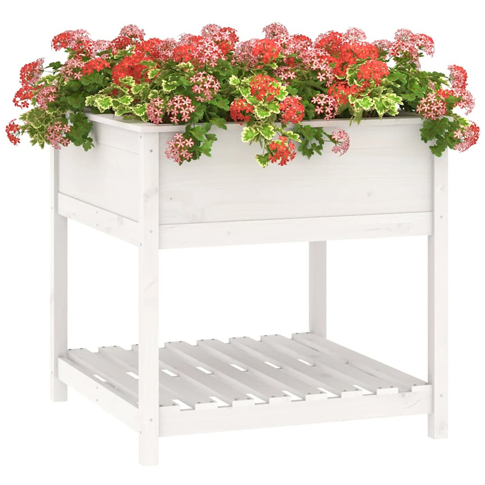 vidaXL White Solid Pine Wood Garden Planter with Shelf 81 x 82.5 x 82.5cm Image 3
