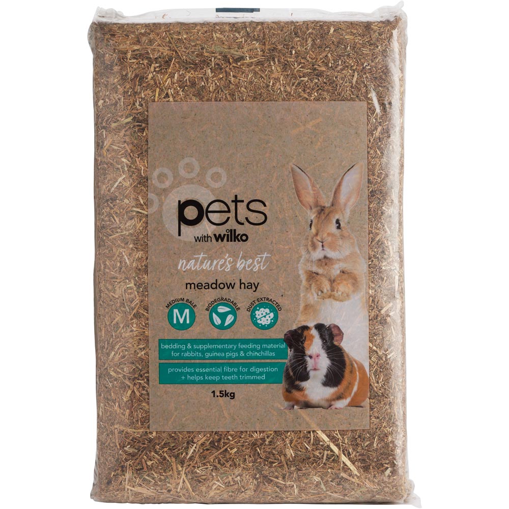 Shop wilko Pets