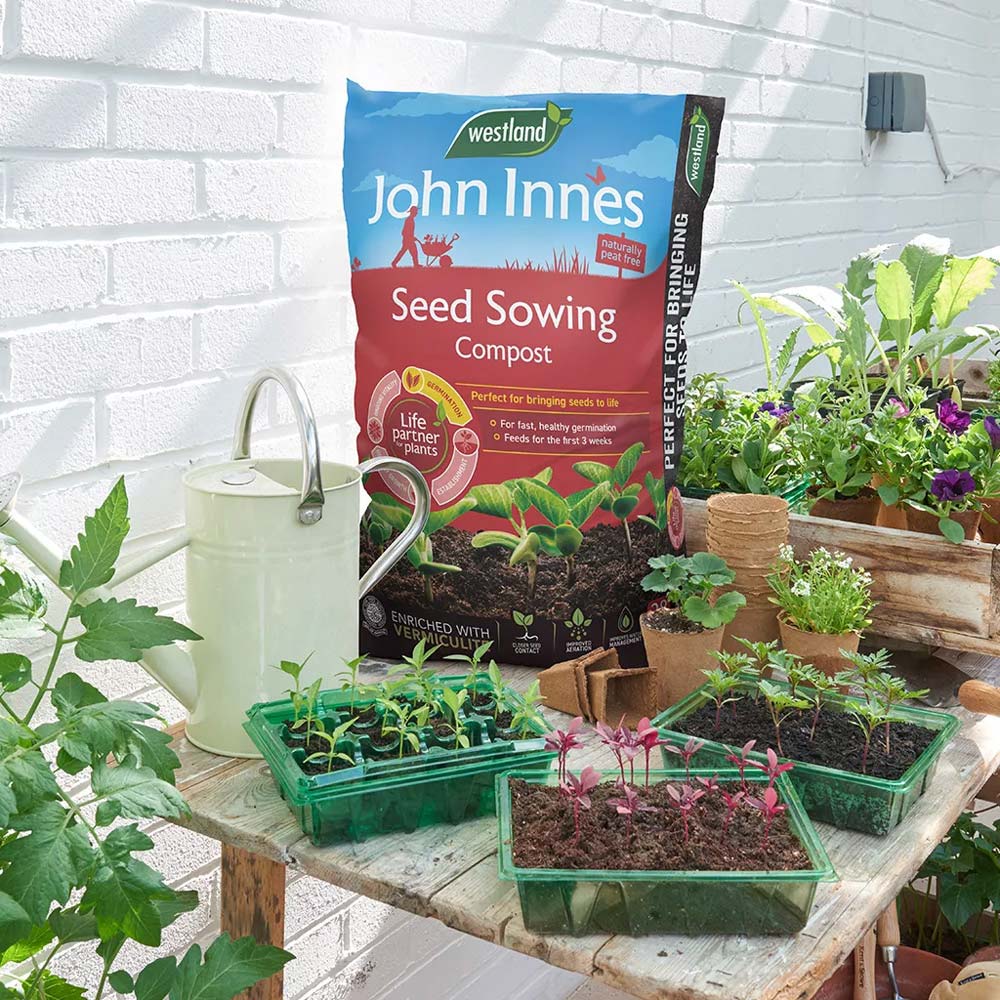 Westland John Innes Peat Free Seed Sowing Compost 10L Image 2