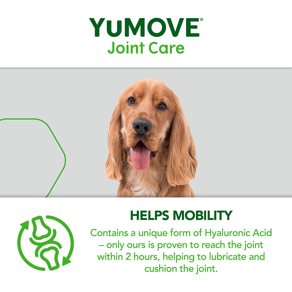 YuMOVE Joint Daily Bite Adult Dogs 60 pack Image 6