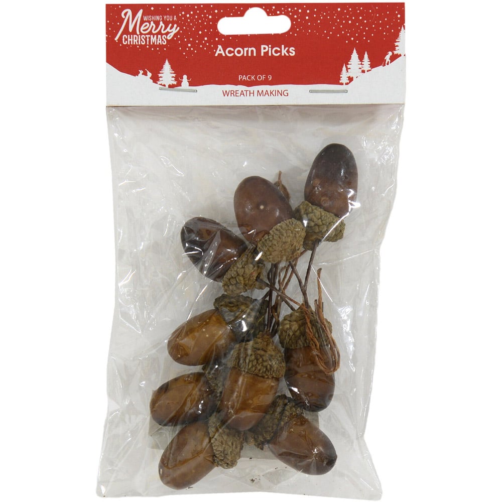 Pack of 9 Acorn Picks Image
