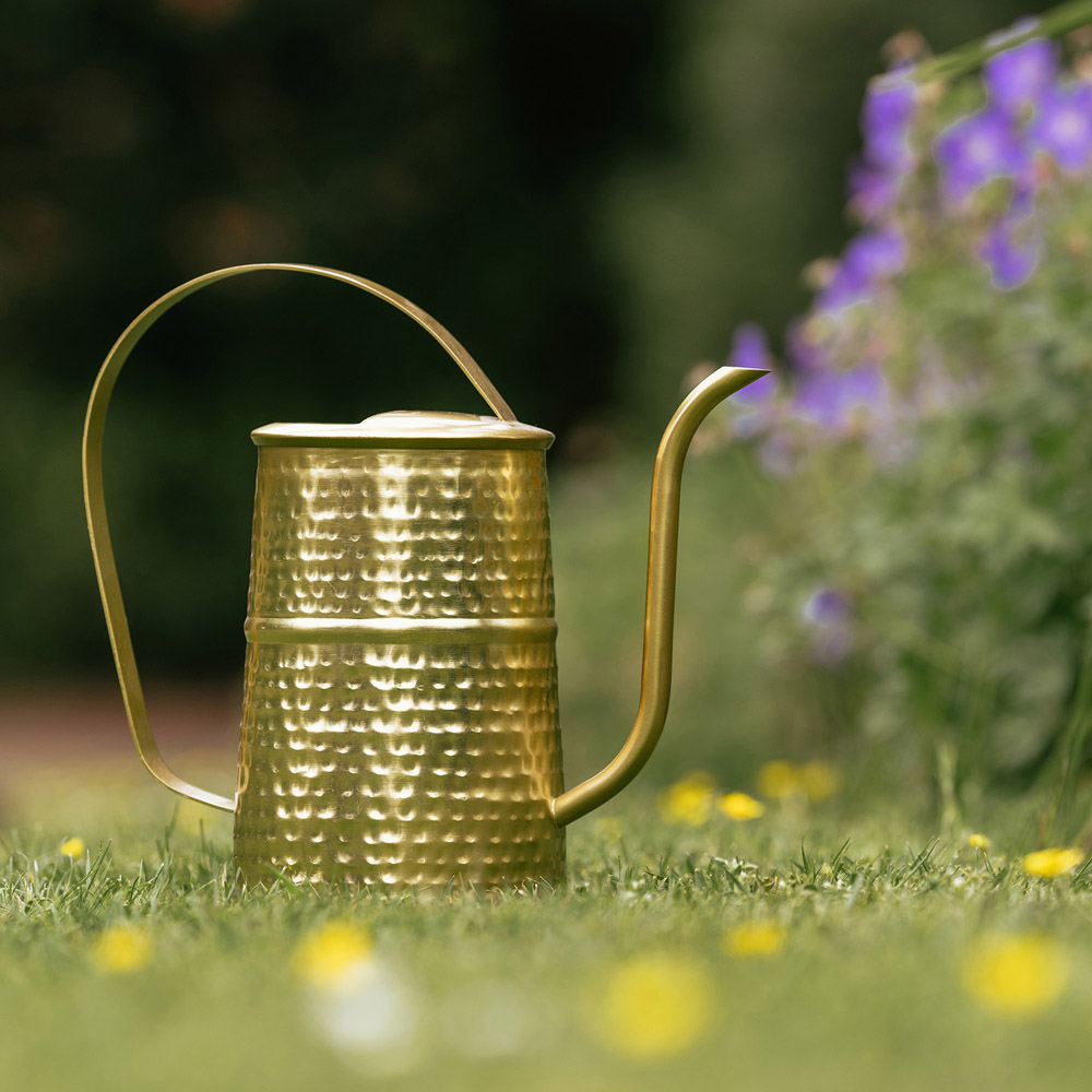 Country Living Gold Watering Can Image 2