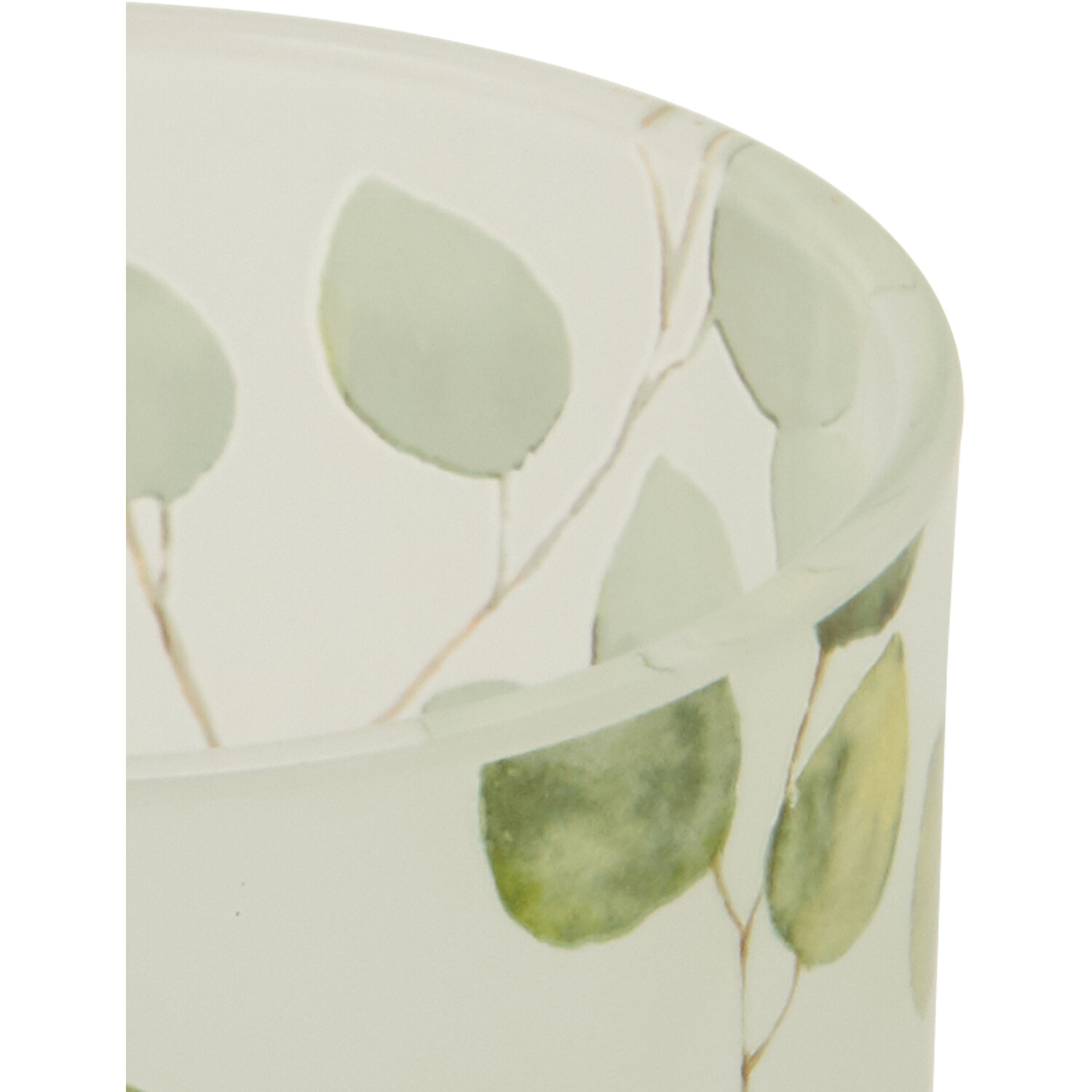 Eucalyptus Vase - Green Image 3