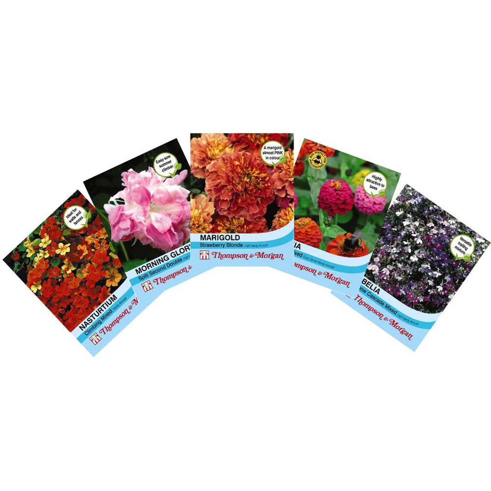 Thompson and Morgan Nurserymans Choice Perennial Mix Plug Plant 36 Pack with 5 Seed Image 2
