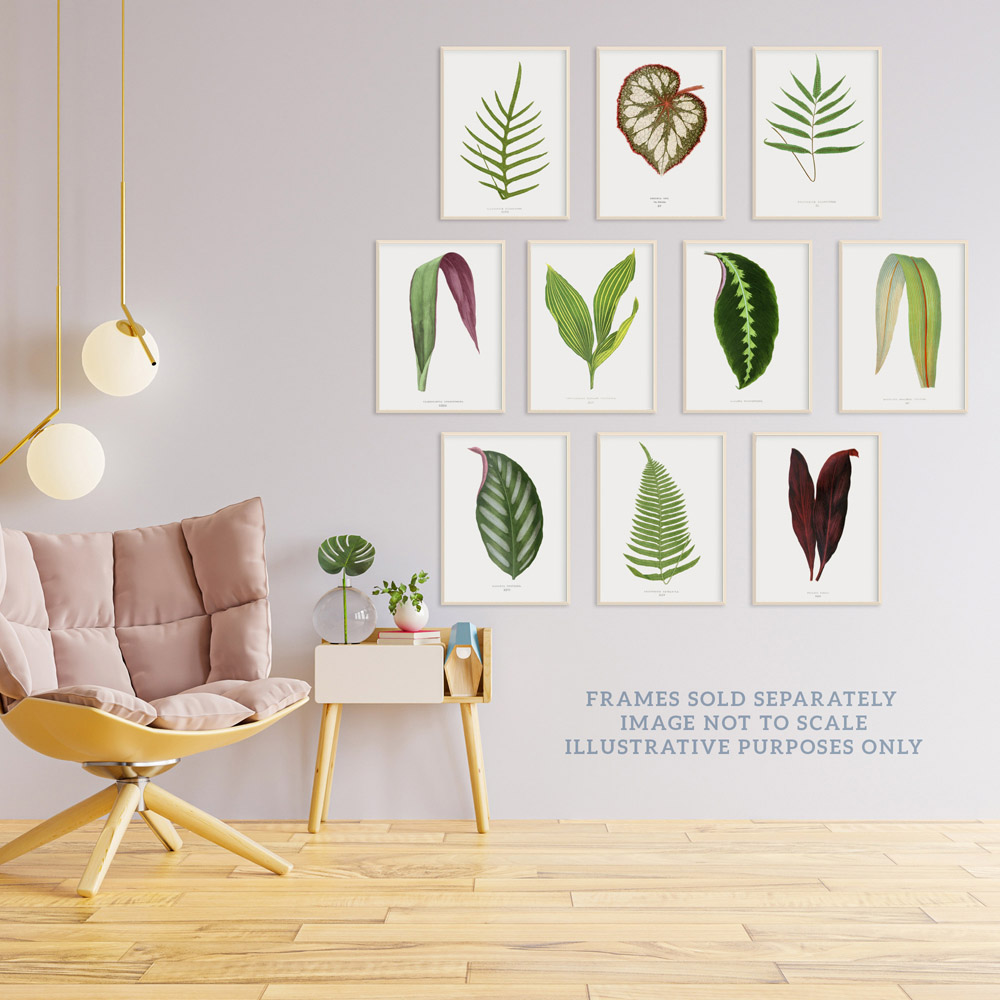 Wee Blue Coo Vintage Audubon Style Leaf Wall Art Print 30 x 41cm 10 Pack Image 3