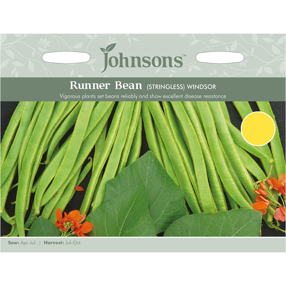 Johnsons Runner Bean Windsor Seeds Image 2