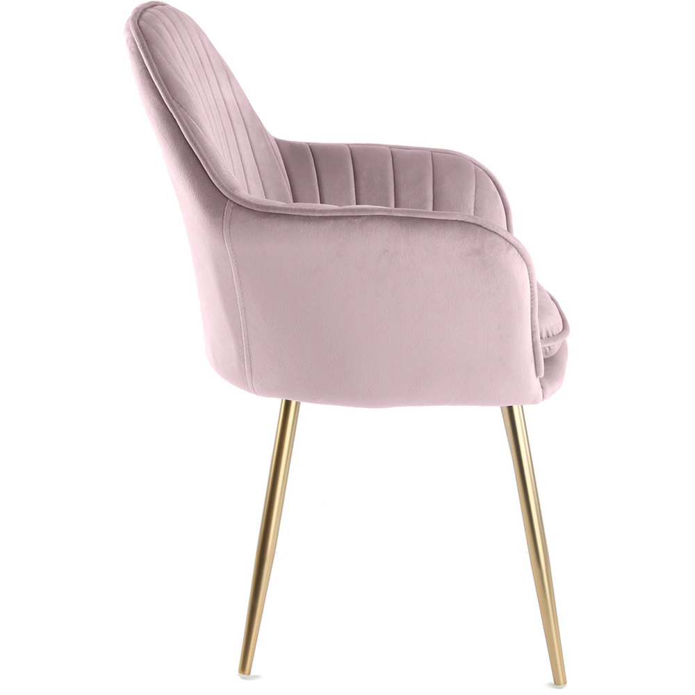 Muse Violet Tulle Velvet Accent Chair with Golden Legs Set of 2 Image 4