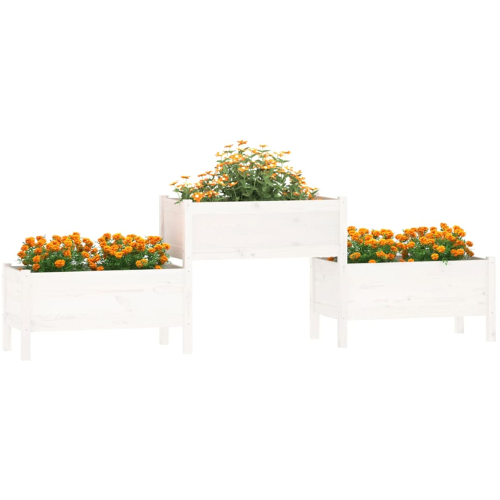 vidaXL 3-Tier White Solid Pine Wood Garden Planter 75 x 245.5 x 44cm Image 2