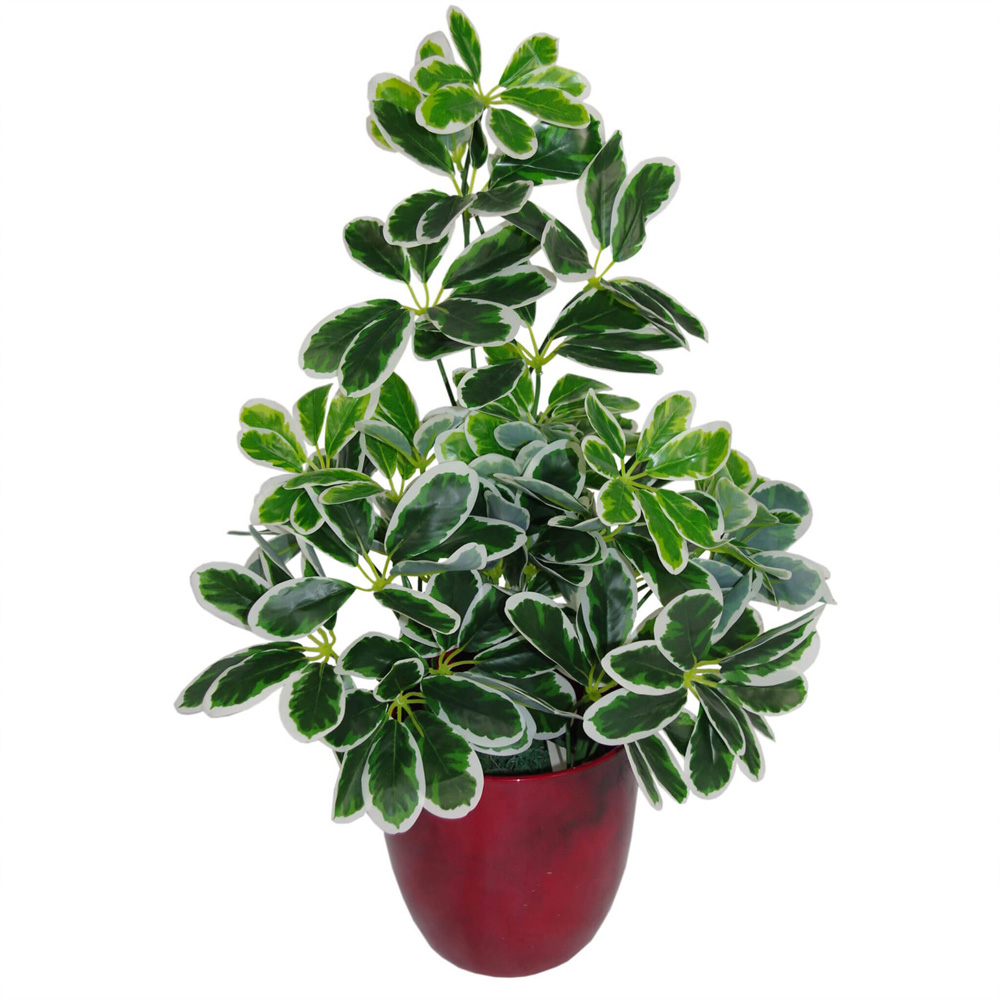 Botanik Light Arboricola Plant Umbrella Artificial Tree 55cm Image 3