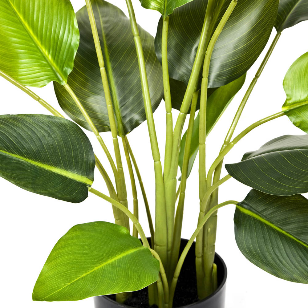 GreenBrokers Artificial Bird of Paradise Plant in Plastic Pot 78cm Image 2