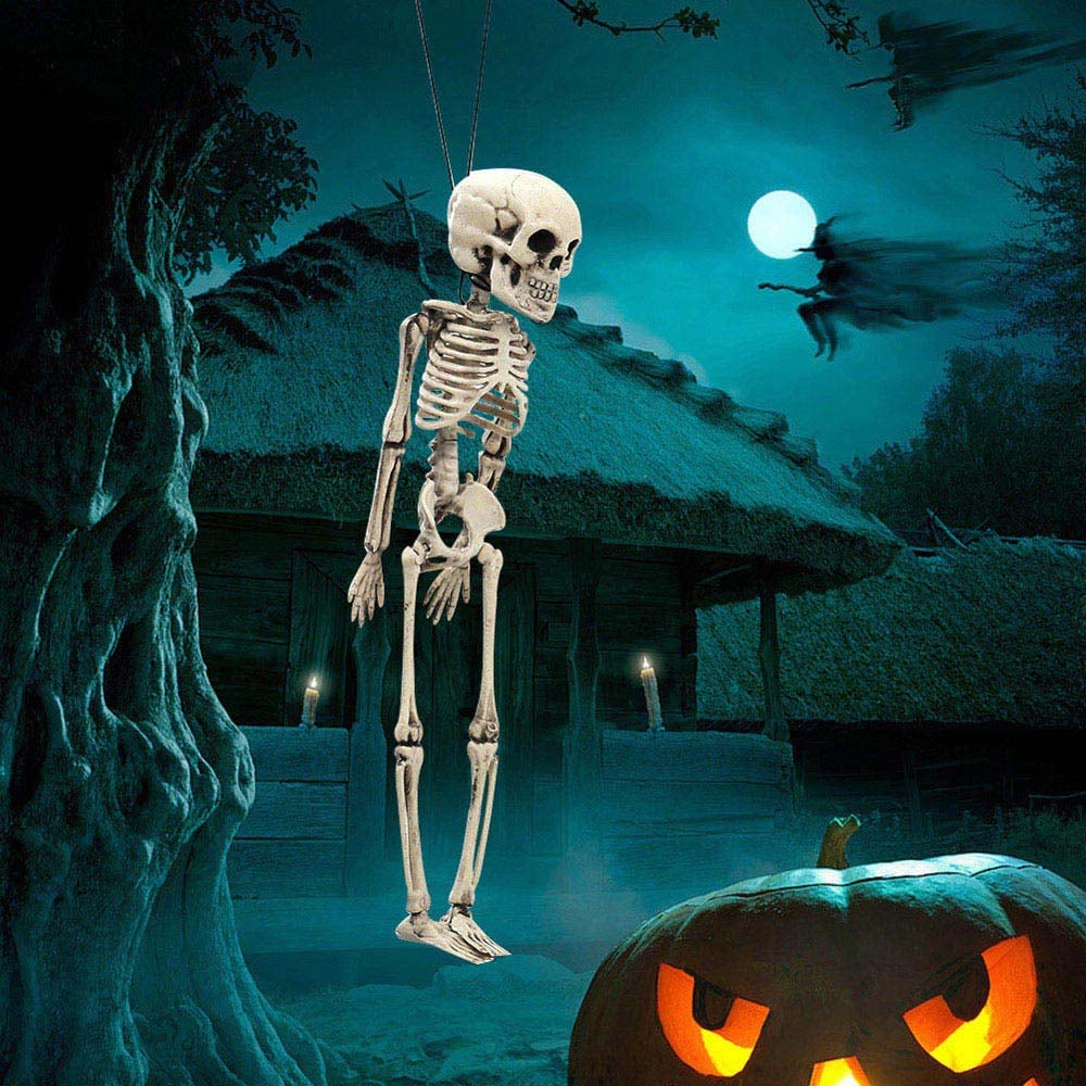 Living and Home Halloween Human Anatomy Skeleton 30cm Image 5