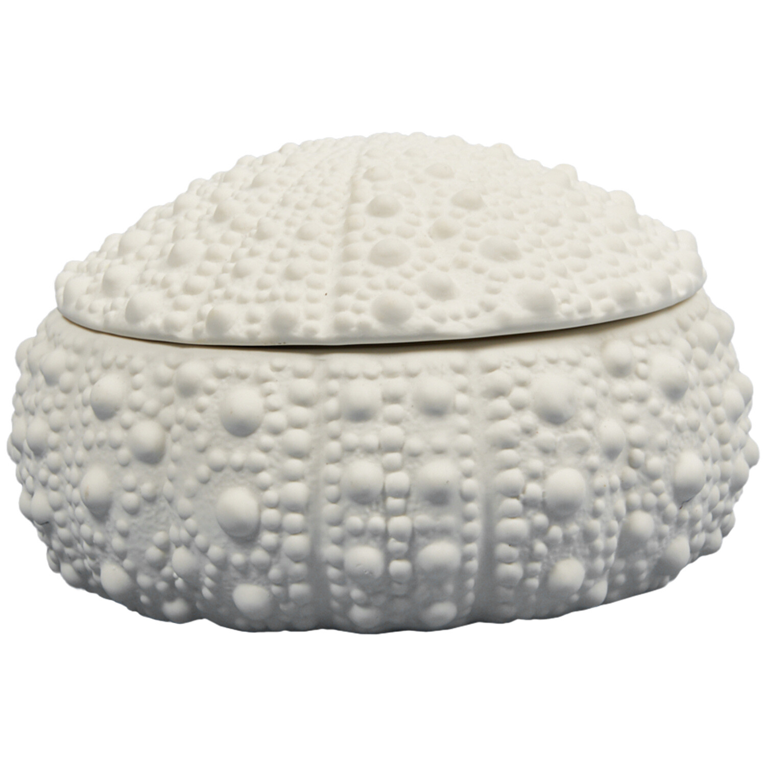 Sea Urchin Trinket Dish - White Image 2