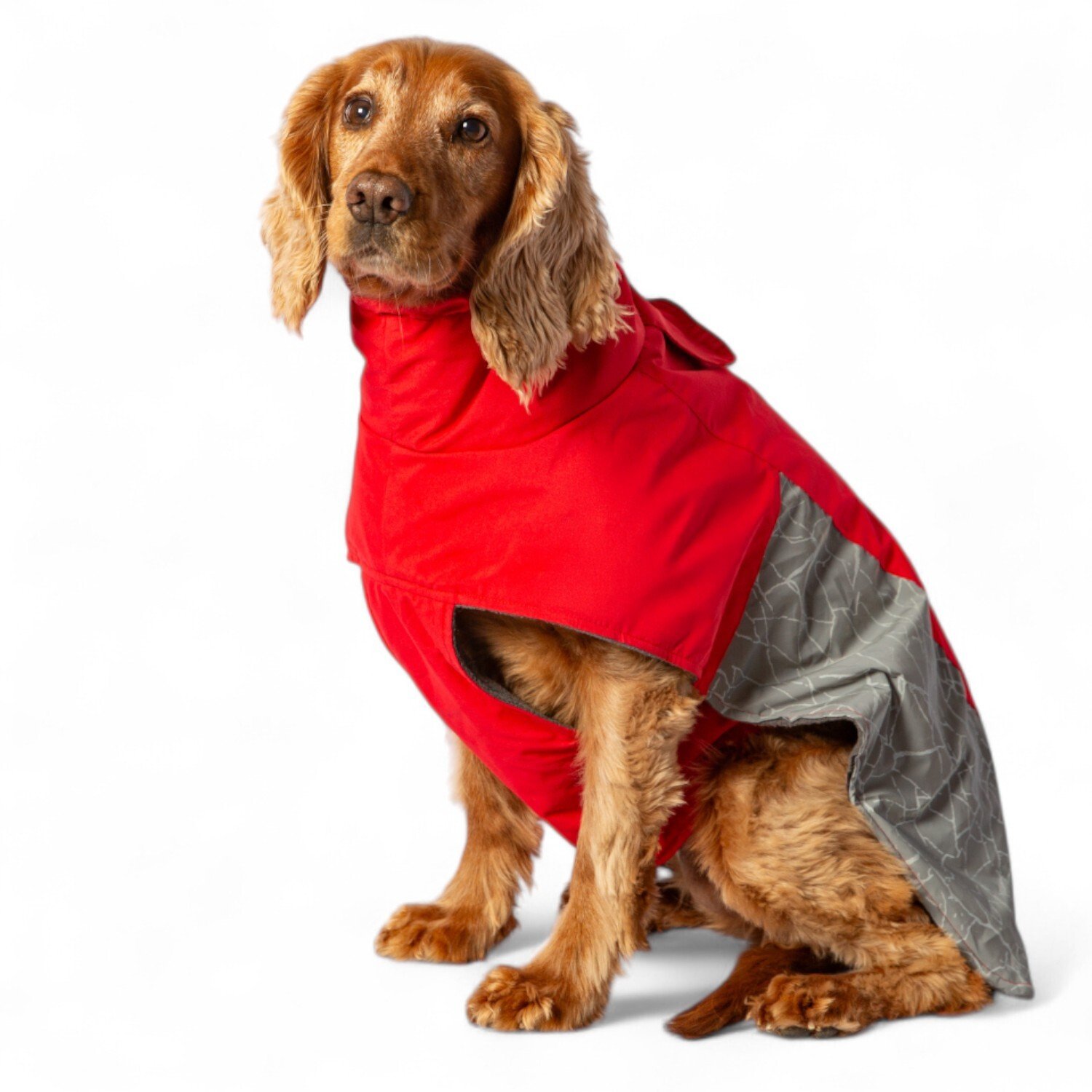 Discovery Reflective Dog Coat M Image 4