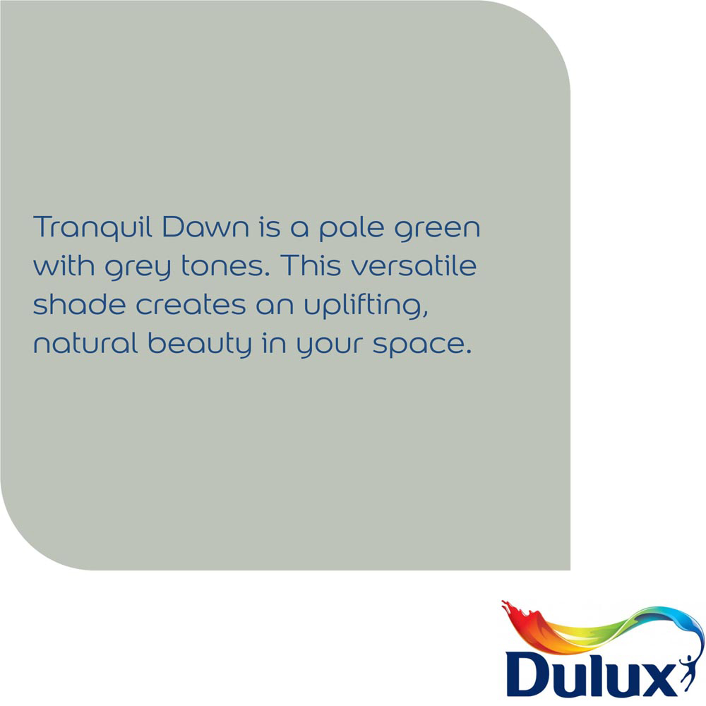 Dulux Simply Refresh Walls and Ceilings Tranquil Dawn Matt One Coat Emulsion Paint 2.5L Image 6