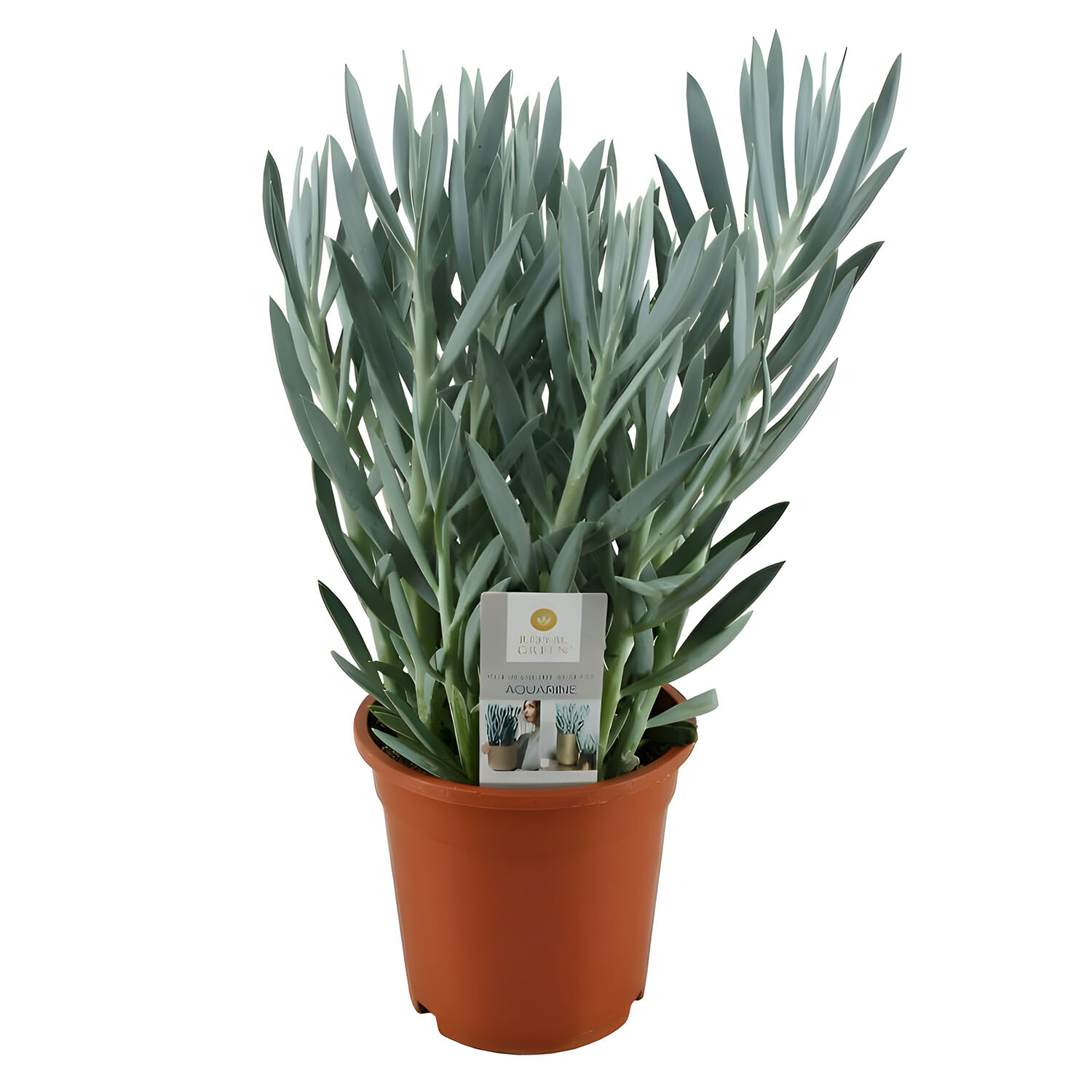 Curio Mount Everest 17cm - Blue Green Image