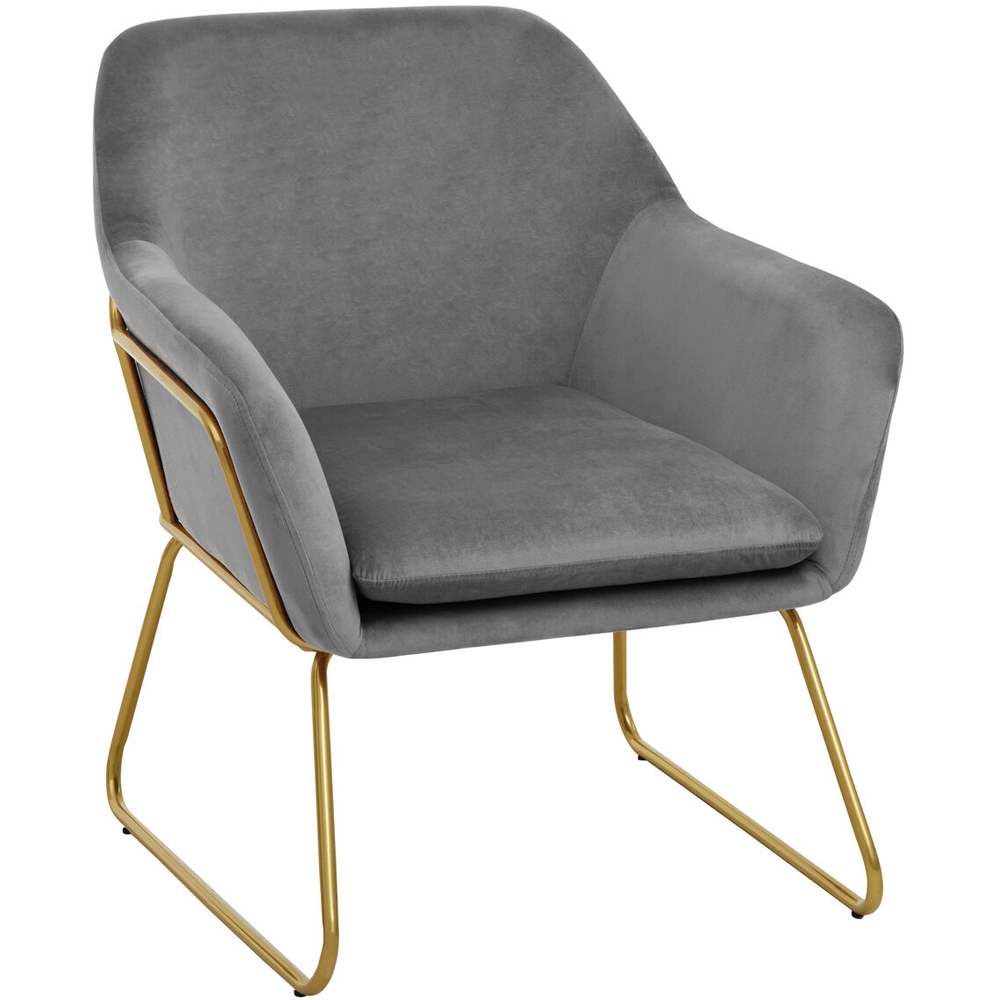 Premier Housewares Xander Grey Velvet Modern Accent Chair Image 4